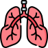 lungs.png